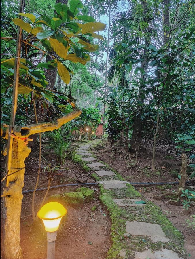 Vythiri Wood House Wayanad Villa Exterior photo
