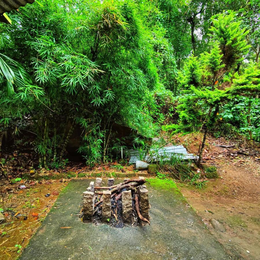 Vythiri Wood House Wayanad Villa Exterior photo