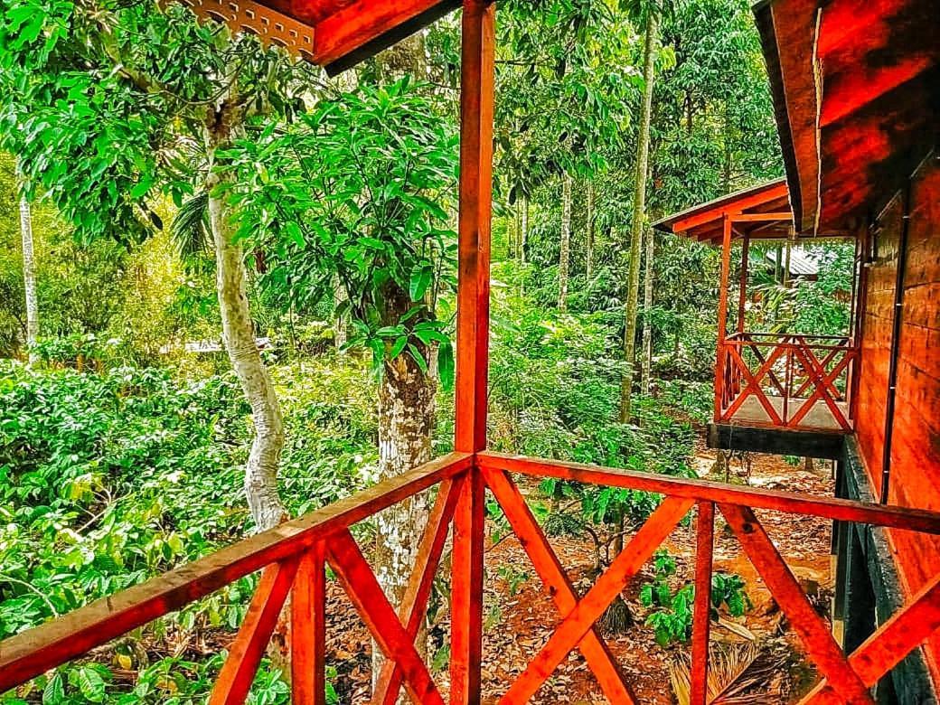 Vythiri Wood House Wayanad Villa Exterior photo