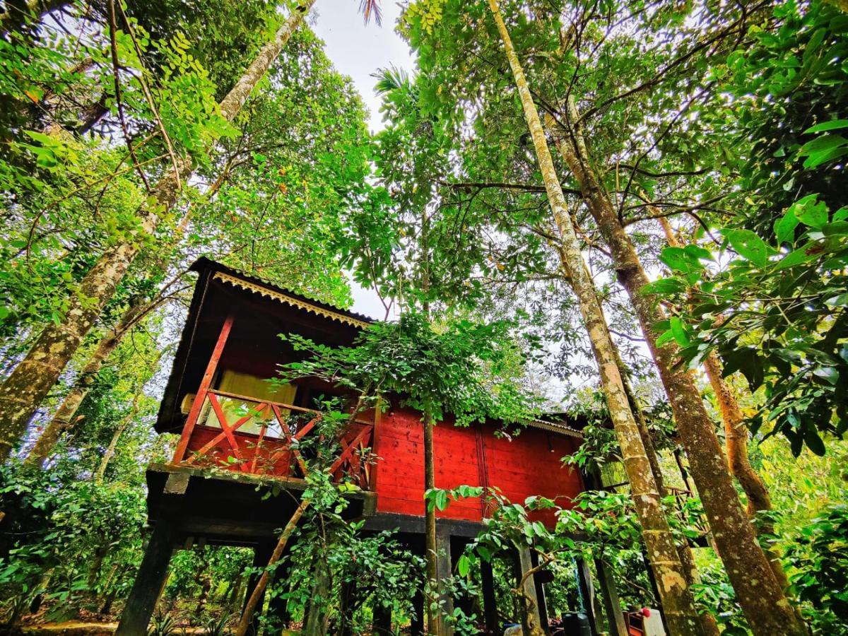 Vythiri Wood House Wayanad Villa Exterior photo